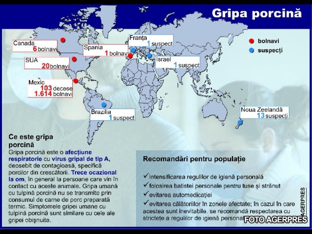 Gripa porcina, o afectiune respiratorie deosebit de contagioasa