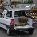 Versiuni carosare Dacia Logan Van - Foto 17 din 23