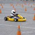 Renault F1 Roadshow - Foto 55 din 70