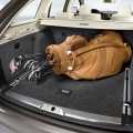 Skoda Yeti - Foto 30 din 88