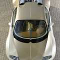 Bugatti Veyron - Foto 4 din 83