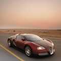 Bugatti Veyron - Foto 9 din 83