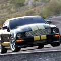 Mustang Shelby GT-H - Foto 11 din 18