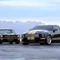 Mustang Shelby GT-H - Foto 14 din 18