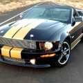 Mustang Shelby GT-H - Foto 18 din 18