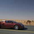 Bugatti Veyron - Foto 41 din 83