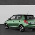 Skoda Fabia RS - Foto 15 din 19