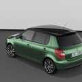 Skoda Fabia RS - Foto 16 din 19