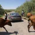 Aston Martin Road Safety - Foto 19 din 23