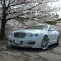 Bentley by ASI - Foto 3 din 10