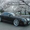 Bentley by ASI - Foto 4 din 10