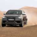 Audi Q7 V12 TDI - Foto 22 din 34