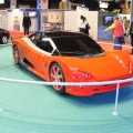 Paris 2008: Lada Revolution - Foto 3 din 5