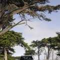 Mercedes ML 63 AMG “10th Anniversary” - Foto 23 din 65