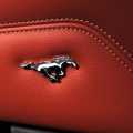Ford Mustang - Foto 31 din 37
