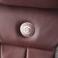 Ford F-150 Harley Davidson - Foto 19 din 28