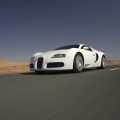 Bugatti Veyron - Foto 39 din 83