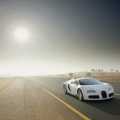Bugatti Veyron - Foto 53 din 83