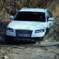 Audi A4 Allroad quattro - Foto 6 din 88