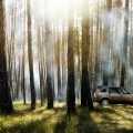 Land Rover Discovery facelift - Foto 3 din 21