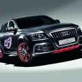 Audi Q5 Custom Concept - Foto 4 din 18