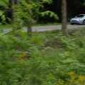 Aston Martin V12 Vantage - Foto 40 din 73