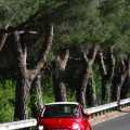 Fiat 500 Cabrio - Foto 33 din 104