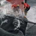 Puma Ocean Racing & Puma Collection - Foto 14 din 54