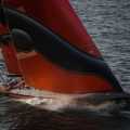 Puma Ocean Racing & Puma Collection - Foto 15 din 54