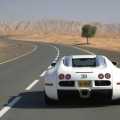 Bugatti Veyron - Foto 3 din 80
