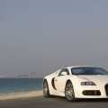 Bugatti Veyron - Foto 47 din 80