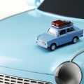 Trabant - Foto 17 din 24