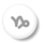 horoscop capricorn