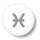 horoscop pesti